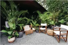  ??  ?? RAISE THE ROOF A curated showcase of plants helps elevate the design of a roof deck
