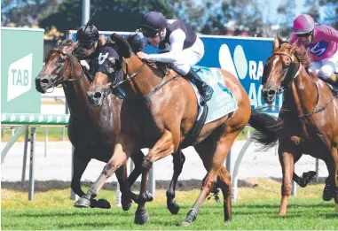 ?? Picture: Grant Peters-trackside Photograph­y ?? Isotope winning the 2022 TAB Magic Millions Snippets.