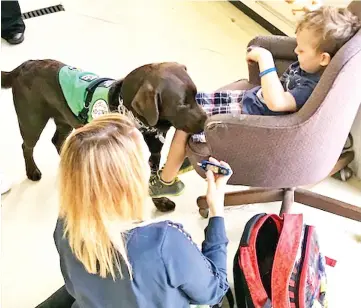  ??  ?? Slash, a chocolate Lab, is a diabetes detection dog. — WP-Bloomberg photos