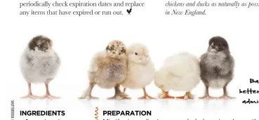  ??  ?? Baby chicks recover better from shipping if you administer electrolyt­es.