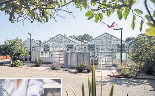  ?? PHOTOS BY ARIANA DREHSLER FOR THE WALL STREET JOURNAL ?? Viridos’s greenhouse facility in San Diego.