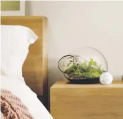  ??  ?? A clip on a pillow and orb on a nightstand can help monitor sleep.