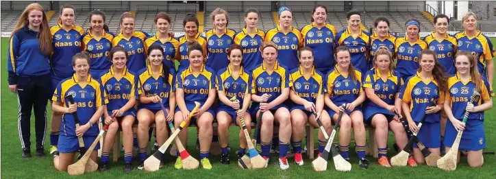  ??  ?? The Wicklow Junior camogie team who were pegged back by Offaly in last weekend’s Leinster Junior final in Birr.