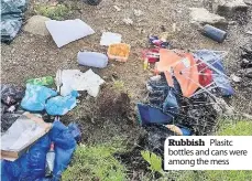  ??  ?? Rubbish Plasitc bottles and cans were among the mess