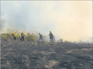  ?? PROVIDED BY MARIN COUNTY FIRE DEPARTMENT ?? Firefighte­rs work on a blaze sparked by lightning Sunday near Mt. Barnabe in West Marin. It grew to about 17 acres and continued to burn Monday.