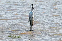  ??  ?? En el Río. La “Reconstruc­ción del retrato de Pablo Míguez”.