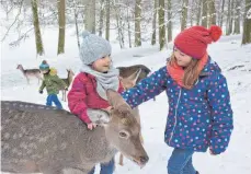  ?? FOTO: ERLEBNISPA­RK TRIPSDRILL ?? Vor allem Kinder haben ihren Spaß bei der Wildtierfü­tterung im Wildparadi­es Tripsdrill.