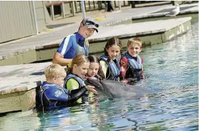  ??  ?? Playing with dolphins at sea World, Gold Coast.