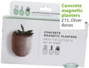  ??  ?? Concrete magnetic planters £15, Oliver Bonas