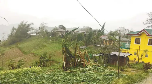  ?? CONTRIBUTE­D FOTO / NAGIEL BAÑACIA ?? BATTERED LANDSCAPE. Strong winds brought about by tropical storm Urduja destroy some crops and topple some trees in Adlaon, one of Cebu City’s mountain barangays.