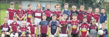  ??  ?? The Galtee Gaels U9 players that played Cois Laoi Gaels at O’Mahony Park last week.