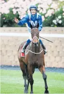  ?? Photo / Getty Images ?? Winx with regular winning jockey Hugh Bowman.