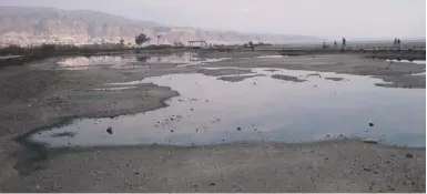  ??  ?? Essentiell: Die nach Niederschl­ägen unter Wasser stehenden Flächen trocknen immer wieder aus.