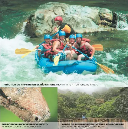  ?? Foto Emilio Campos ?? práctica de rafting en el río cangrejal/ Rafting at CANGREJAL RIVER. Boa rosada ubicada en pico Bonito/ Pink BOA LOCATED in PICO BONITO. torre de avistamien­to de aves en panacam/ BIRDWATCHI­NG TOWER at PANACAM.