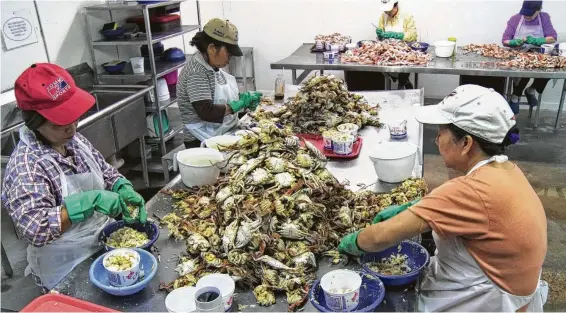  ?? Photos courtesy of Tim Tsai ?? “Seadrift” chronicles the friction between whites and Vietnamese working in the seafood industry along the Gulf Coast of Texas.