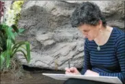  ?? KRISTI GARABRANDT — THE NEWS-HERALD ?? Cleveland Heights artist Joan Angle draws orchids Feb. 4 at Cleveland Botanical Garden’s Orchid Mania.