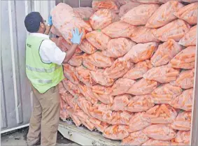  ?? Picture: BIOSECURIT­Y AUTHORITY OF FIJI ?? The authority’s prime roles are to protect the borders from the introducti­on, establishm­ent and spread of exotic pests and diseases in the country.