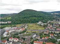  ?? ?? Der Windberg ist Freitals Hausberg. Nun ändert sich einiges im Umgang mit der Natur dort. Nur hat man darüber die Freitaleri­nnen und Freitaler nicht informiert.