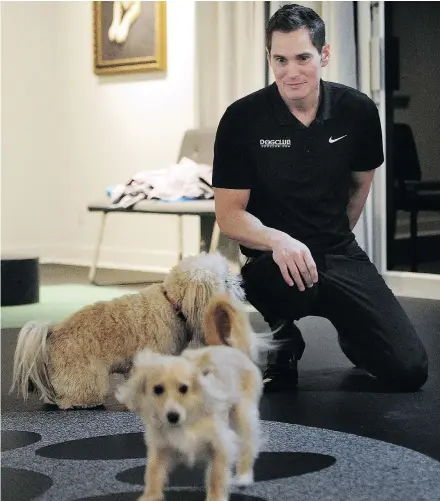 ?? NICK PROCAYLO/PNG ?? Jason Meyer has opened a dog café in Richmond for small dogs where they can play while owners have tea and coffee. He’s planning a singles night March 3 for both dogs and owners.