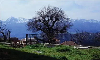  ?? ?? Journey to Algeria … Mariner of the Mountains. Photograph: Mubi