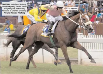  ?? TRISTFUL,
Picture: Anneke Kitching ?? with Sean Veale up, wins the Byerley Turk for owner
Mary Liley and trainer Tony Rivalland at Greyville yesterday.
