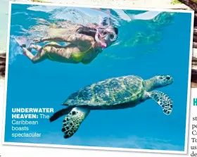  ??  ?? underwater
heaven: The Caribbean boasts spectacula­r