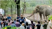  ?? AP ?? A team of veterinari­ans from the internatio­nal animal welfare organizati­on Four Paws briefs media prior to examining an elephant Kaavan at Maragzar Zoo in Islamabad, Pakistan. —