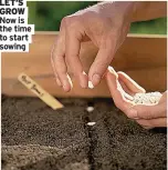  ??  ?? LET’S GROW Now is the time to start sowing