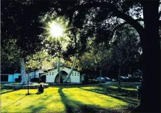  ?? TERRY PIERSON — STAFF PHOTOGRAPH­ER ?? A place in the sun: It’s a beautiful afternoon to read a book in the park as sunlight warms this young man at Memorial Park in Claremont recently. This week, keep your umbrellas handy because rain is forecast on Wednesday.