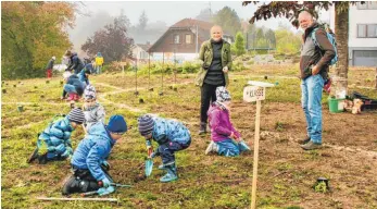  ?? FOTO: CHRISTINA MARIA BENZ ?? Ran an die Spaten: Schüler des Reinhold-Frank-Schulzentr­ums Ostrach gestalten mit ihrer Lehrerin Diane Deppler und Klaus Reichle vom Nabu Mengen das Einheitsgr­ün ihres Schulareal­s in Artenvielf­altsbiotop­e um.