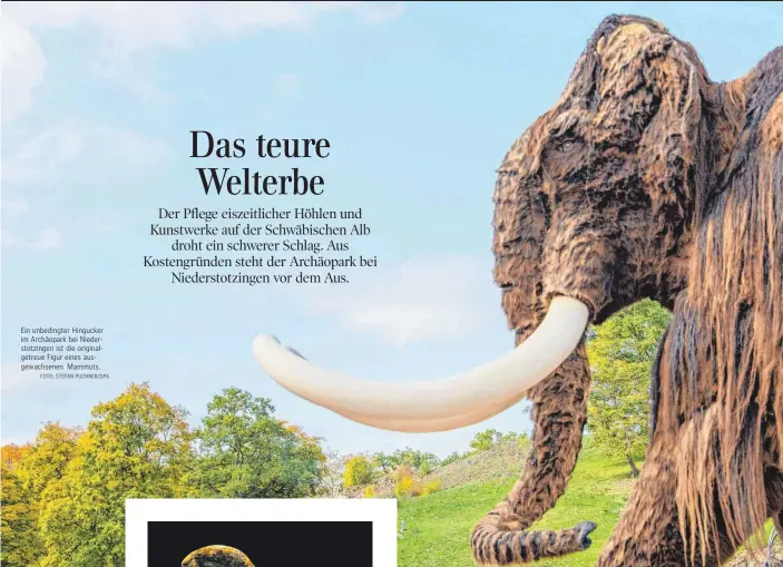  ?? FOTO: STEFAN PUCHNER/DPA ?? Ein unbedingte­r Hingucker im Archäopark bei Niederstot­zingen ist die originalge­treue Figur eines ausgewachs­enen Mammuts.