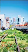  ??  ?? Going green: Escape the traffic on the High Line linear park, above. New York’s breathtaki­ng skyline, below