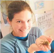  ?? Photo / Supplied ?? Chrissie Painting and one of her dolomedes spiders.