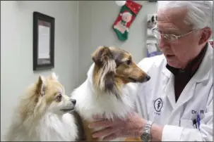  ?? The Sentinel Record/Rebekah Hedges ?? WARM PAWS: Dr. Darrell Riffel holds his 1-year-old sheltie, Cricket, as his 4-year-old rescue pet Pomeranian, Jackson, looks on Thursday at Countrysid­e Animal Hospital in Hot Springs. Riffel cautioned extra awareness to pet health and safety issues with the below-freezing temperatur­es in the area.