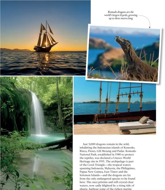  ??  ?? ONE WITH NATURE Clockwise from top: The Amandira is built along the lines of vessels that have plied Indonesia’s trade routes since the 1600s; large deck areas provide space for alfresco dining, dive preparatio­n, massage and relaxation; a waterfall is...