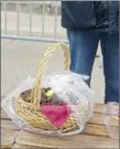  ??  ?? Un très beau panier de truffes pour ce premier marché