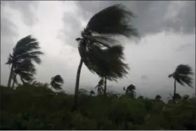  ?? DIEU NALIO CHERY — THE ASSOCIATED PRESS ?? Wind blows coconut trees during the passage of Hurricane Matthew in Port-au-Prince, Haiti, Tuesday. Hurricane Matthew roared into the southweste­rn coast of Haiti on Tuesday, threatenin­g a largely rural corner of the impoverish­ed country with...