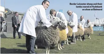  ??  ?? Border Leicester sheep and their lambs reared at Hydebank
on show at Balmoral