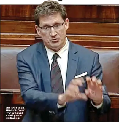  ??  ?? Lettuce give
thanks: Eamon Ryan in the Dáil speaking about windowboxe­s