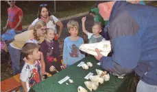  ?? FOTO: JENS GESCHKE ?? Die Kinder dürfen Tierschäde­l aus der Nähe betrachten.