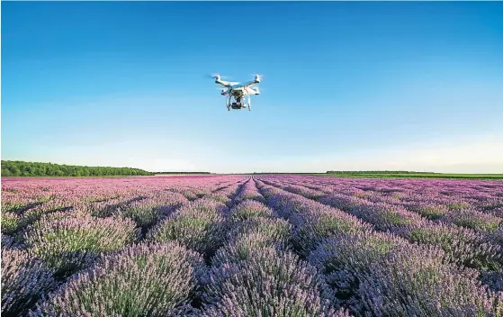  ?? /iStock ?? Eye in the sky: In precision agricultur­e, farmers make use of drones, sensors, satellites and the Global Positionin­g System (GPS) to gather data about their crops, allowing them to make more informed decisions and better manage resources.