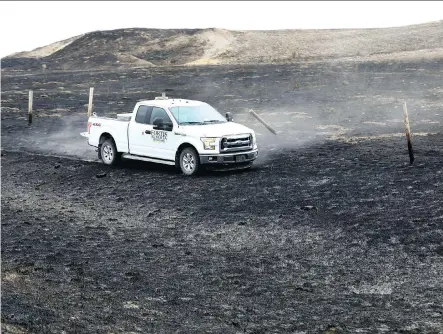  ?? DARREN MAKOWICHUK ?? A pickup truck navigates scorched earth near Waterton Lakes National Park south of Pincher Creek on Wednesday.