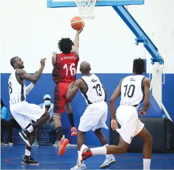 Nova Federação Angolana de Basquetebol