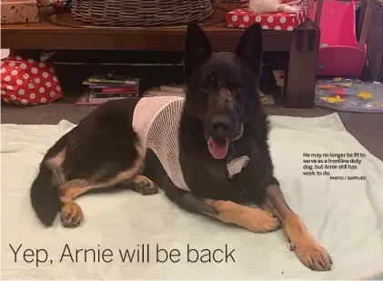  ?? PHOTO / SUPPLIED ?? He may no longer be fit to serve as a frontline duty dog, but Arnie still has work to do.