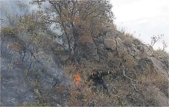  ?? (LA VOZ / ARCHIVO) ?? De verde a negro. Cada año, entre la superficie afectada por incendios en Córdoba, una porción es de bosque nativo remanente.