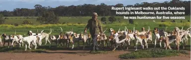  ??  ?? Rupert Inglesant walks out the Oaklands hounds in Melbourne, Australia, where
he was huntsman for five seasons