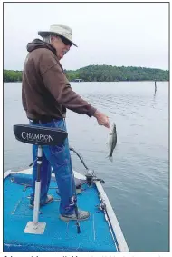  ?? (NWA Democrat-Gazette/Flip Putthoff) ?? Culmer catches a spotted bass that bit his plastic worm along ledge rock.