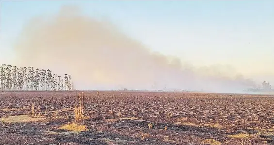  ?? ?? Desolación. No se prevé lluvias abundantes para las próximas semanas. Expertos advirtiero­n que la sequía podría prolongars­e hasta abril.