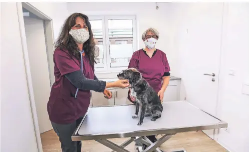  ??  ?? Kirsten Penner (l.) und Anna Friedrichs mit der Hündin Lotte in ihrer neuen Tierarztpr­axis.