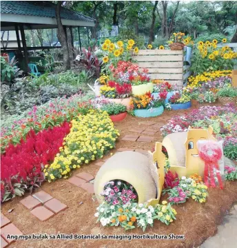  ??  ?? Ang mga bulak sa Allied Botanical sa miaging Hortikultu­ra Show.